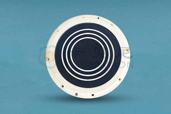 Alumina Ceramic Vacuum Chuck