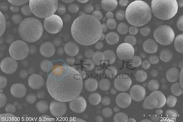 AlN Granulation Powder Microstructure